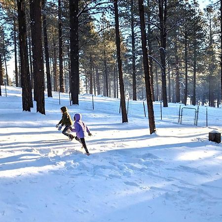 Close To Williams, Flagstaff, Grand Canyon And Sedona 外观 照片