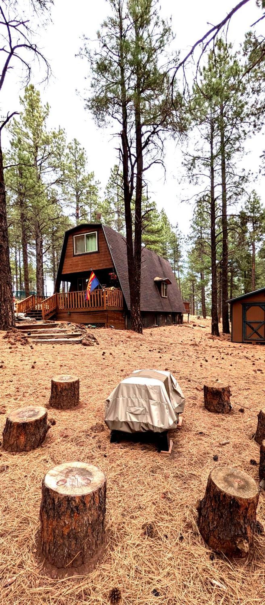 Close To Williams, Flagstaff, Grand Canyon And Sedona 外观 照片