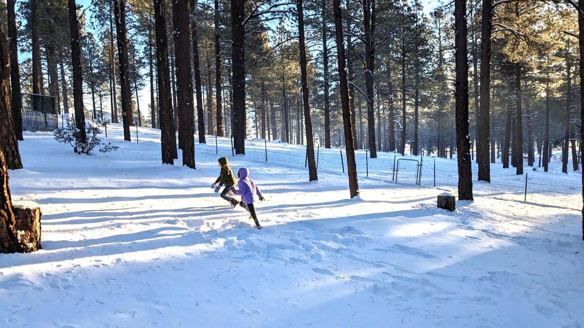Close To Williams, Flagstaff, Grand Canyon And Sedona 外观 照片