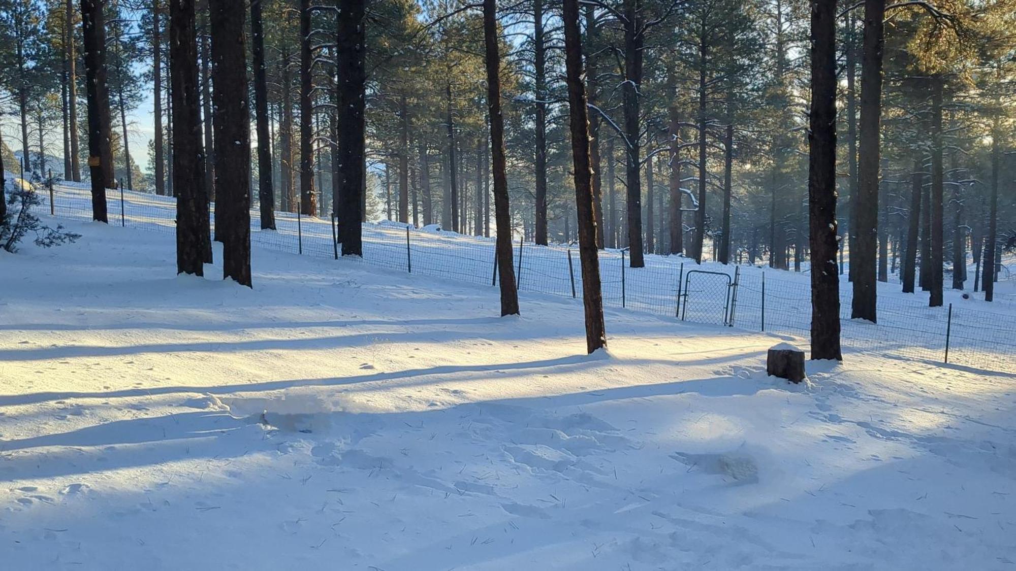 Close To Williams, Flagstaff, Grand Canyon And Sedona 外观 照片