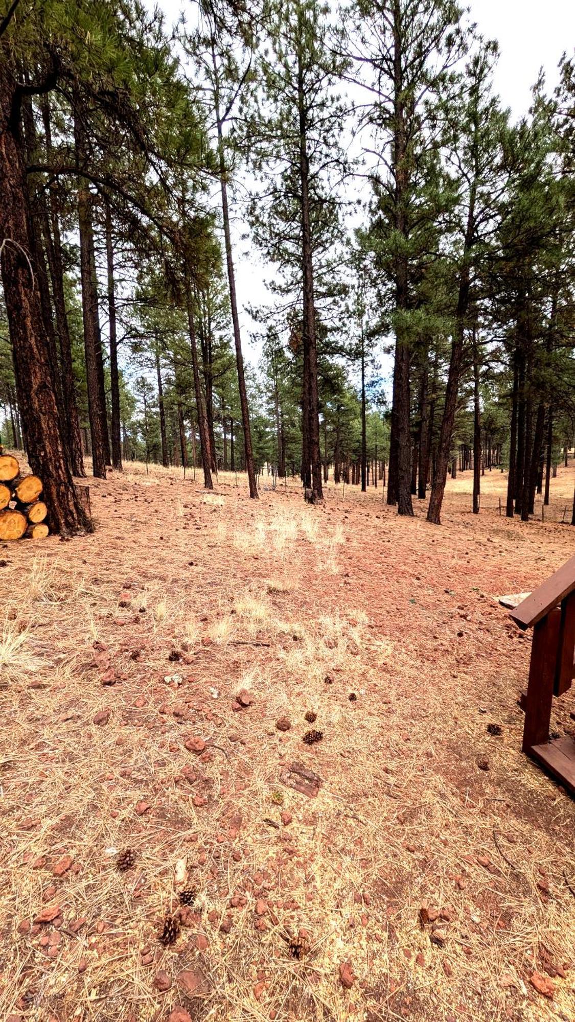 Close To Williams, Flagstaff, Grand Canyon And Sedona 外观 照片