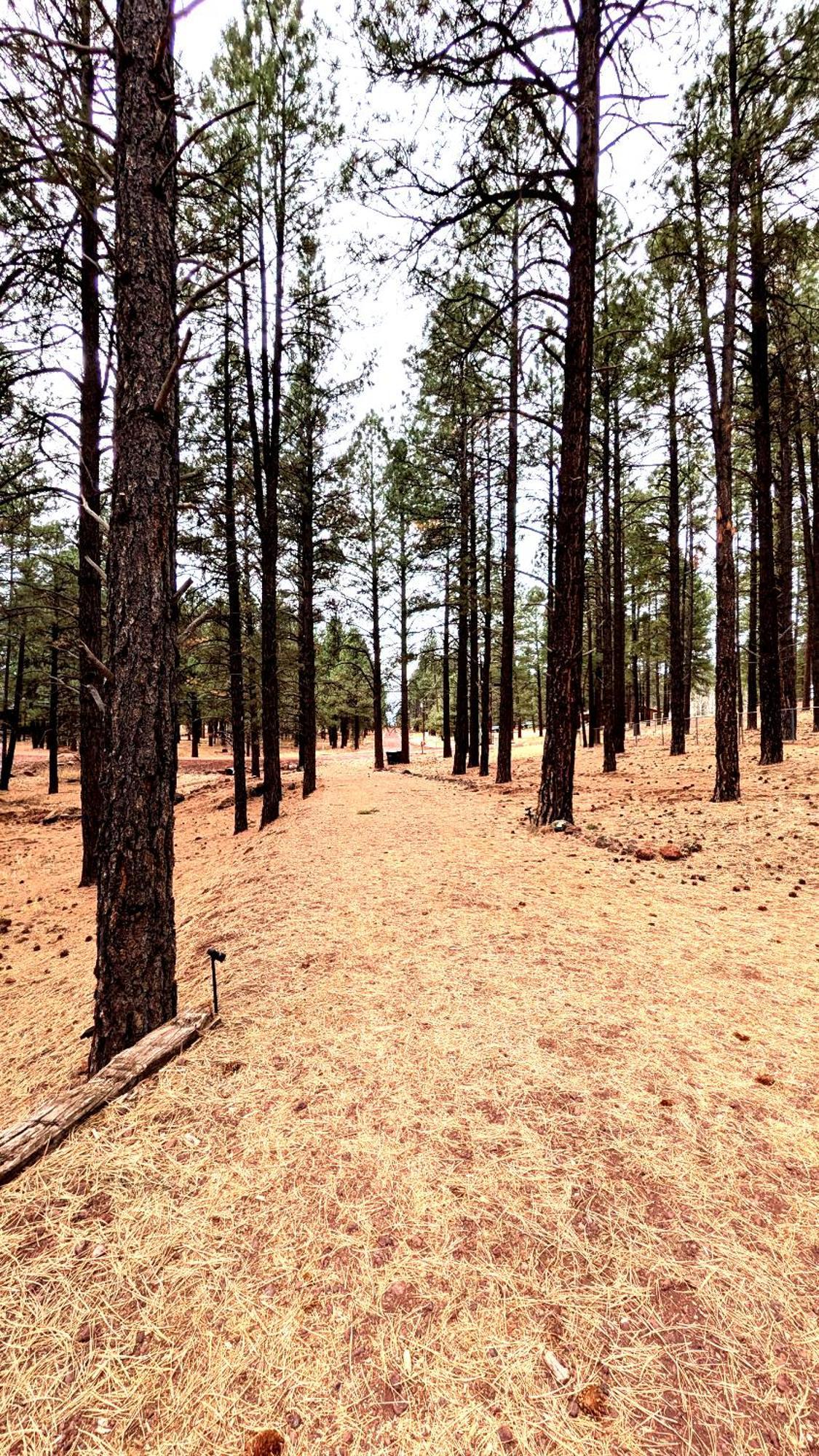 Close To Williams, Flagstaff, Grand Canyon And Sedona 外观 照片