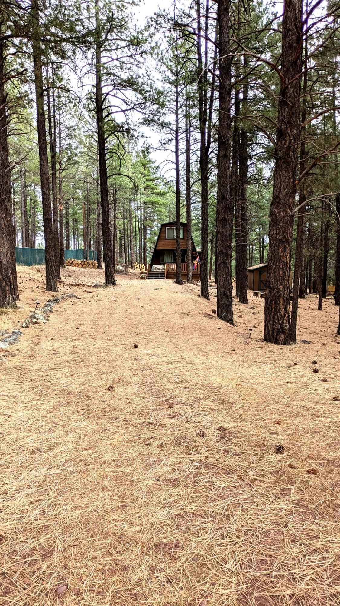 Close To Williams, Flagstaff, Grand Canyon And Sedona 外观 照片